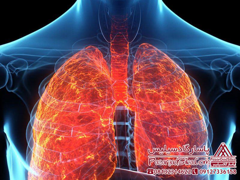 سیلیس و سلامتی 3 پاسارگاد سیلیس سیلیس و سلامتی