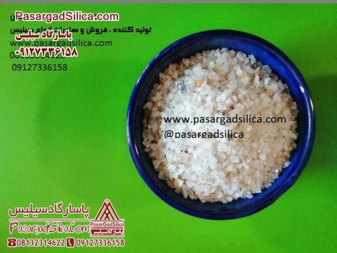 شرکت پاسارگاد سیلس